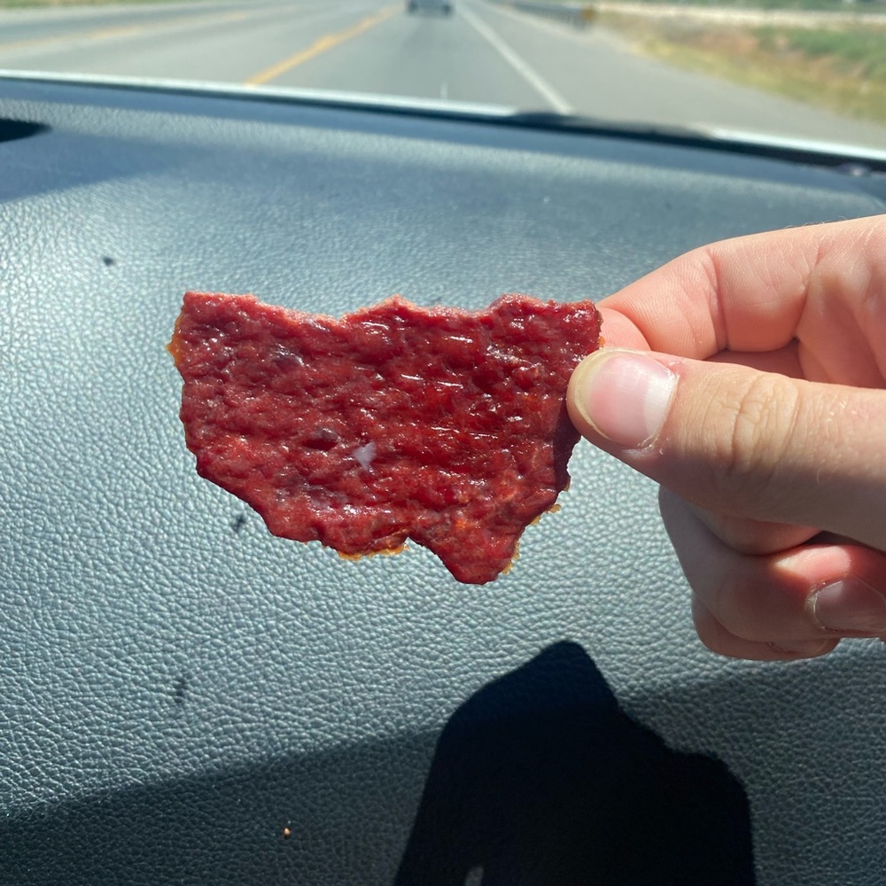 Piece of Beef Jerkey that looks like the USA